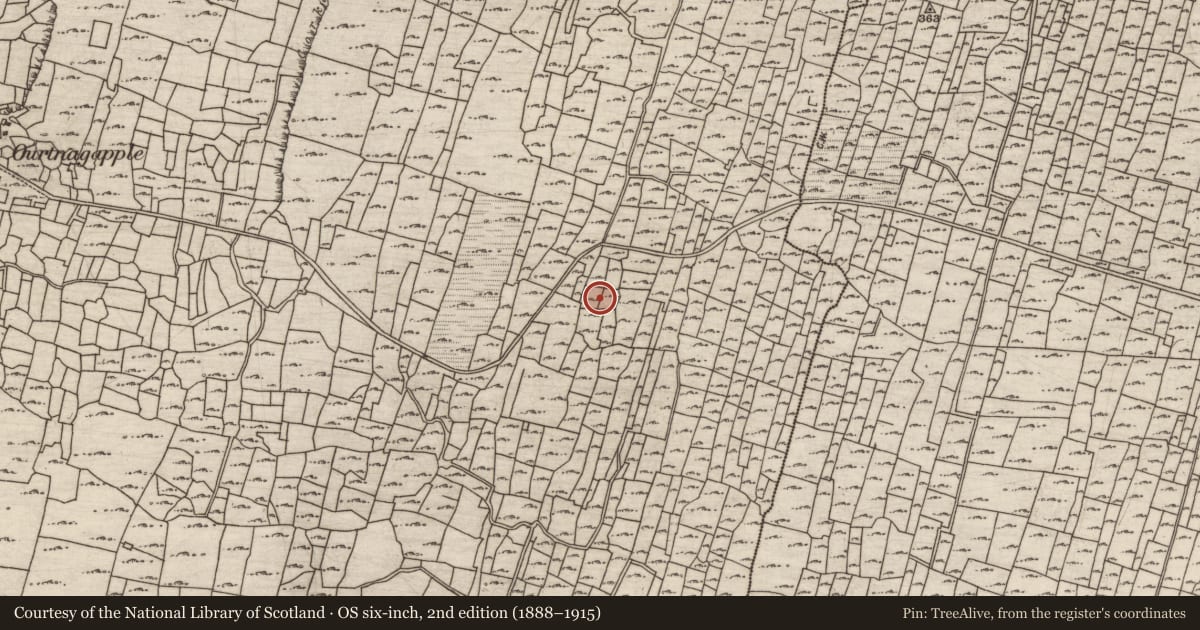 Ordnance Survey six-inch map, 2nd edition (1888–1915) covering the location of Mound, Cill Mhuirbhigh, County Galway, with a pin at the register's coordinates
