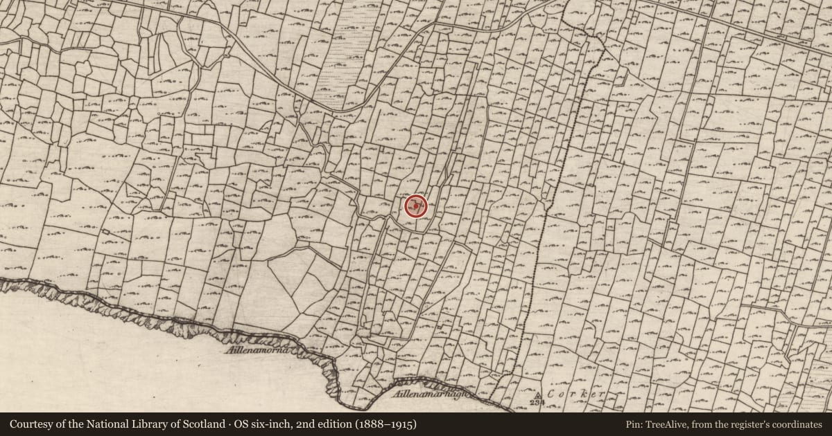 Ordnance Survey six-inch map, 2nd edition (1888–1915) covering the location of Clochan, Cill Mhuirbhigh, County Galway, with a pin at the register's coordinates