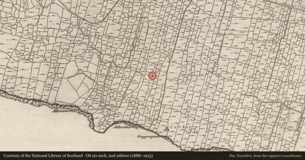 Ordnance Survey six-inch map, 2nd edition (1888–1915) covering the location of Hut site, Cill Mhuirbhigh, County Galway, with a pin at the register's coordinates
