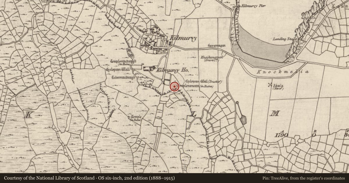 Ordnance Survey six-inch map, 2nd edition (1888–1915) covering the location of Cross-inscribed stone, Cill Mhuirbhigh, County Galway, with a pin at the register's coordinates
