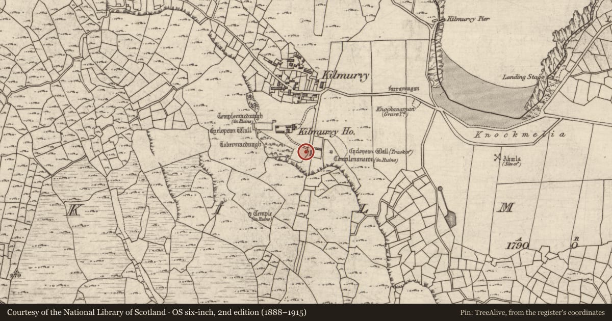 Ordnance Survey six-inch map, 2nd edition (1888–1915) covering the location of Architectural feature, Cill Mhuirbhigh, County Galway, with a pin at the register's coordinates