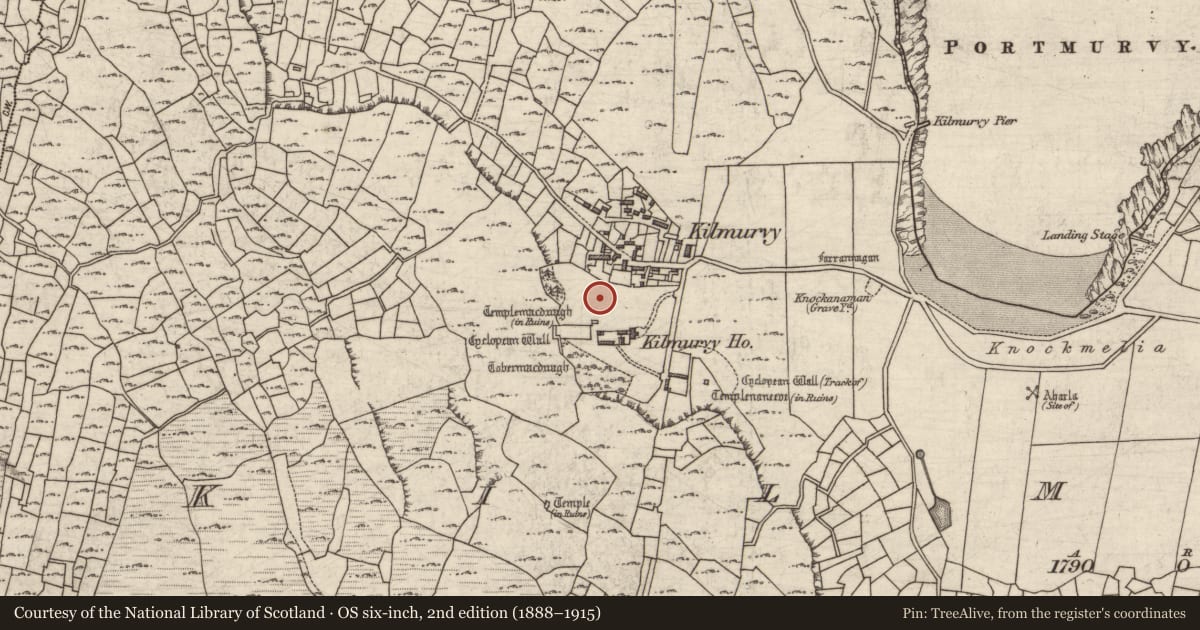 Ordnance Survey six-inch map, 2nd edition (1888–1915) covering the location of Pillar stone, Cill Mhuirbhigh, County Galway, with a pin at the register's coordinates