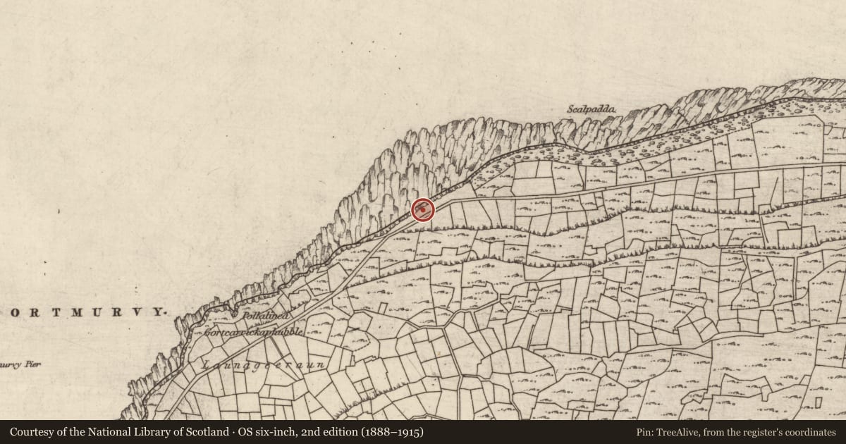 Ordnance Survey six-inch map, 2nd edition (1888–1915) covering the location of Kiln - kelp drying, Cill Mhuirbhigh, County Galway, with a pin at the register's coordinates