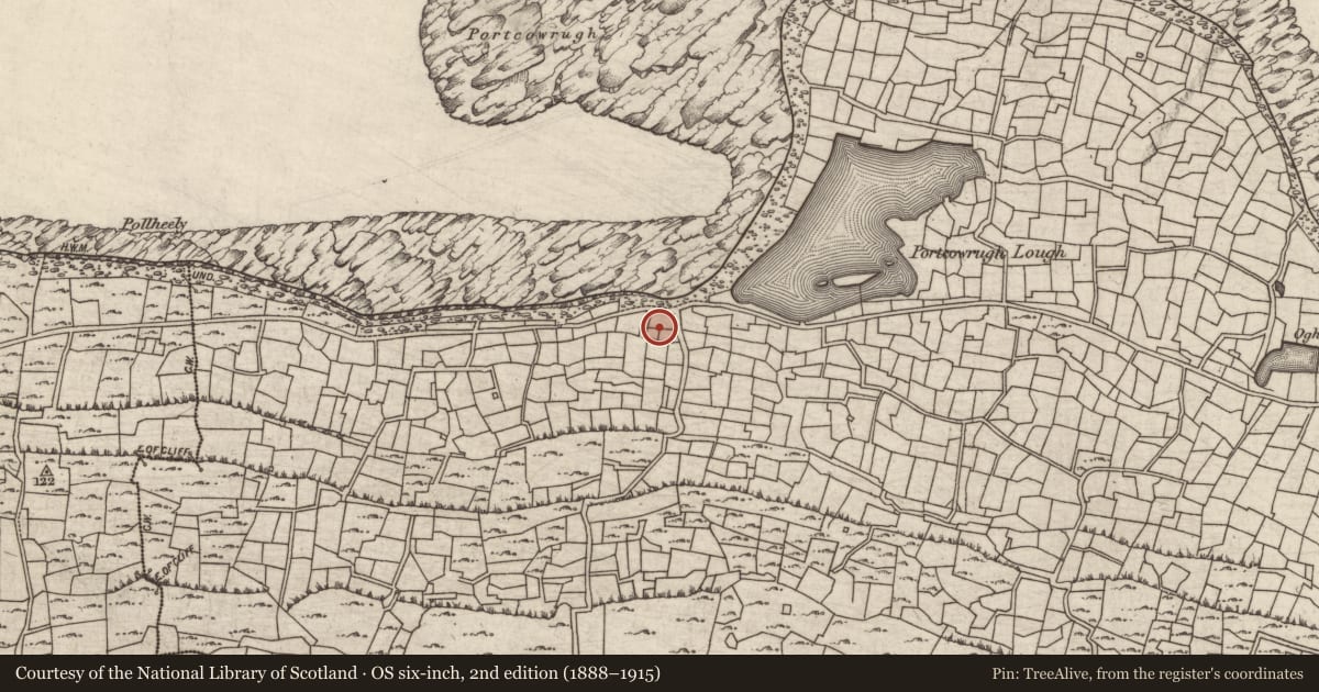 Ordnance Survey six-inch map, 2nd edition (1888–1915) covering the location of Factory, Eochaill (Bar. Árainn), County Galway, with a pin at the register's coordinates