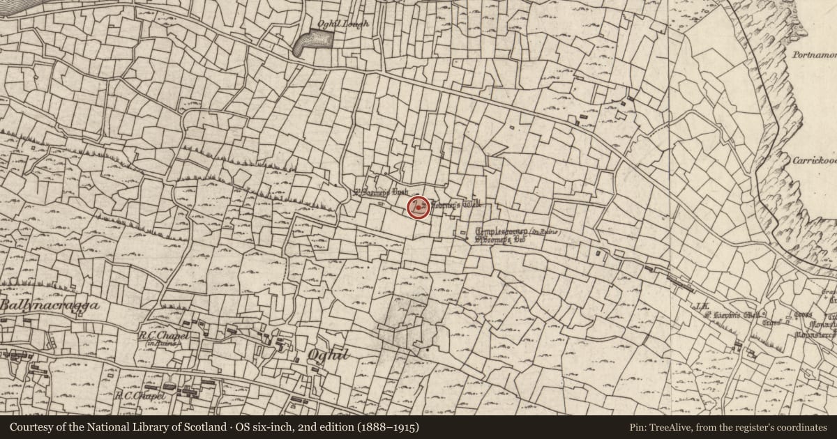 Ordnance Survey six-inch map, 2nd edition (1888–1915) covering the location of Bullaun stone, Eochaill (Bar. Árainn), County Galway, with a pin at the register's coordinates