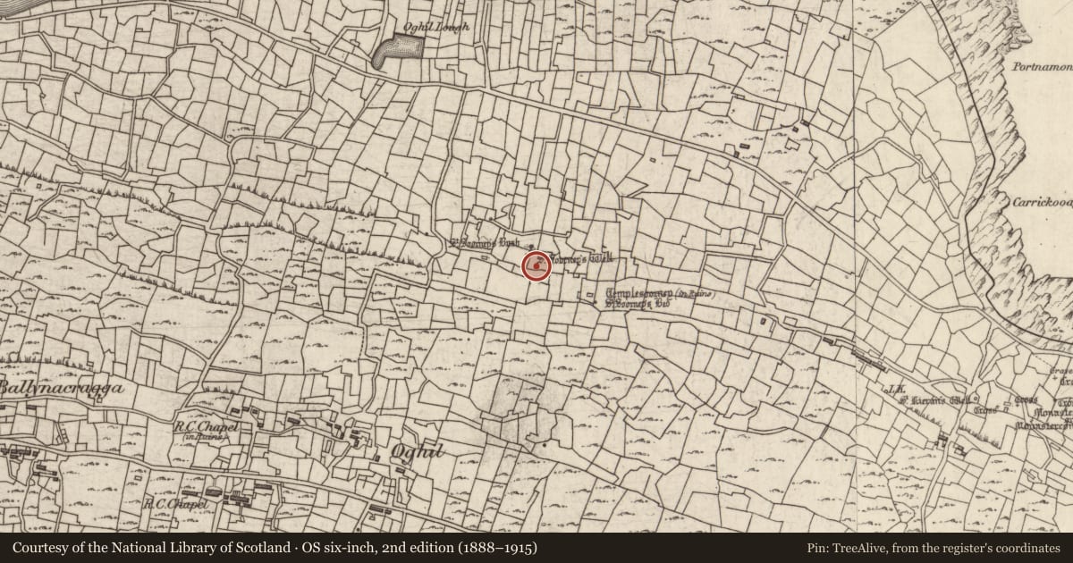 Ordnance Survey six-inch map, 2nd edition (1888–1915) covering the location of Cross-inscribed pillar, Eochaill (Bar. Árainn), County Galway, with a pin at the register's coordinates