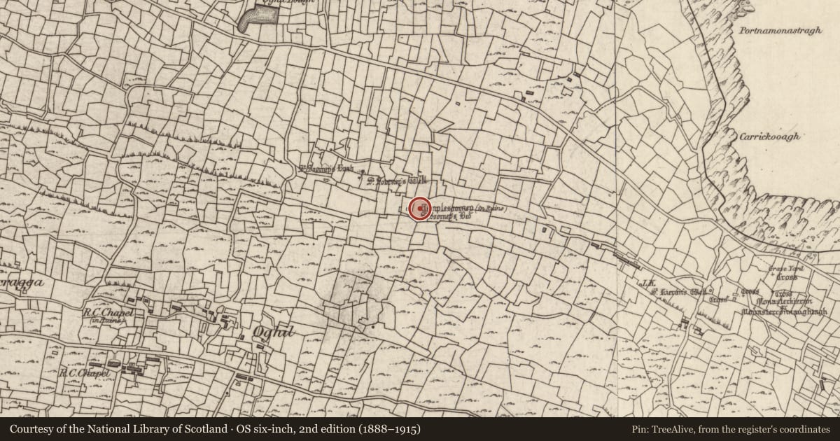 Ordnance Survey six-inch map, 2nd edition (1888–1915) covering the location of Cross-slab, Eochaill (Bar. Árainn), County Galway, with a pin at the register's coordinates