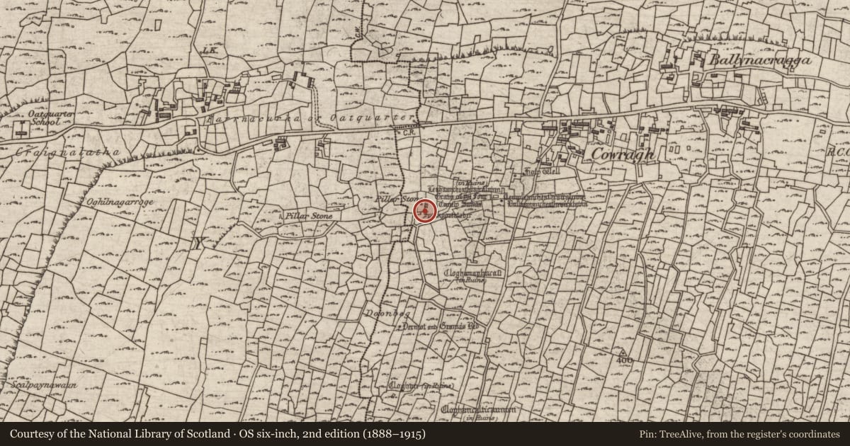 Ordnance Survey six-inch map, 2nd edition (1888–1915) covering the location of Pillar stone, Eochaill (Bar. Árainn), County Galway, with a pin at the register's coordinates