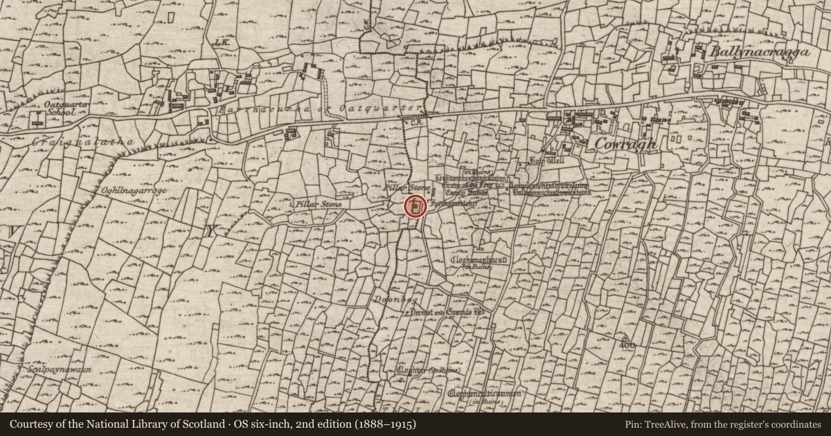 Ordnance Survey six-inch map, 2nd edition (1888–1915) covering the location of Bullaun stone, Eochaill (Bar. Árainn), County Galway, with a pin at the register's coordinates