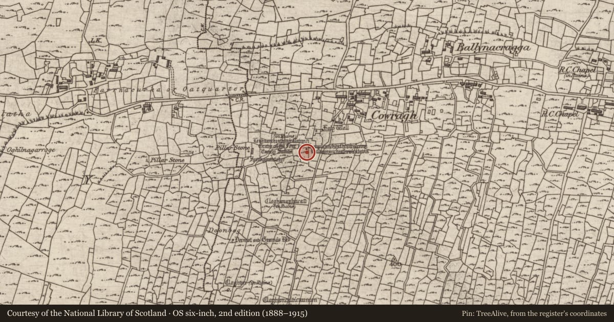 Ordnance Survey six-inch map, 2nd edition (1888–1915) covering the location of Ritual site - holy well, Eochaill (Bar. Árainn), County Galway, with a pin at the register's coordinates