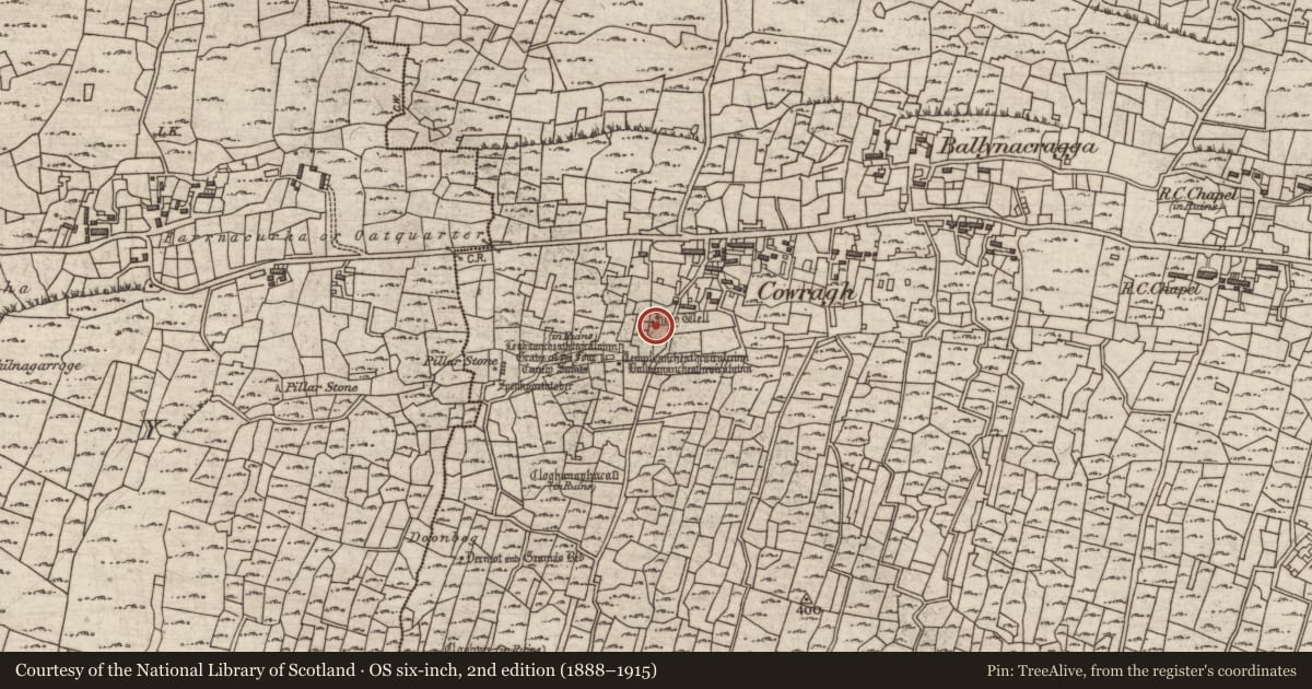 Ordnance Survey six-inch map, 2nd edition (1888–1915) covering the location of Bullaun stone, Eochaill (Bar. Árainn), County Galway, with a pin at the register's coordinates