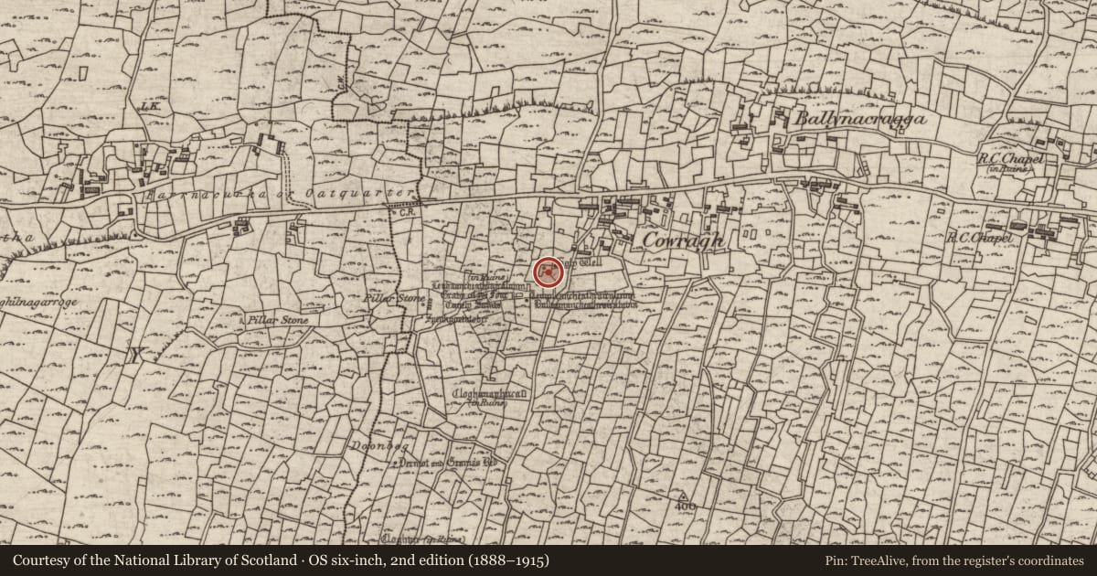Ordnance Survey six-inch map, 2nd edition (1888–1915) covering the location of Bullaun stone, Eochaill (Bar. Árainn), County Galway, with a pin at the register's coordinates