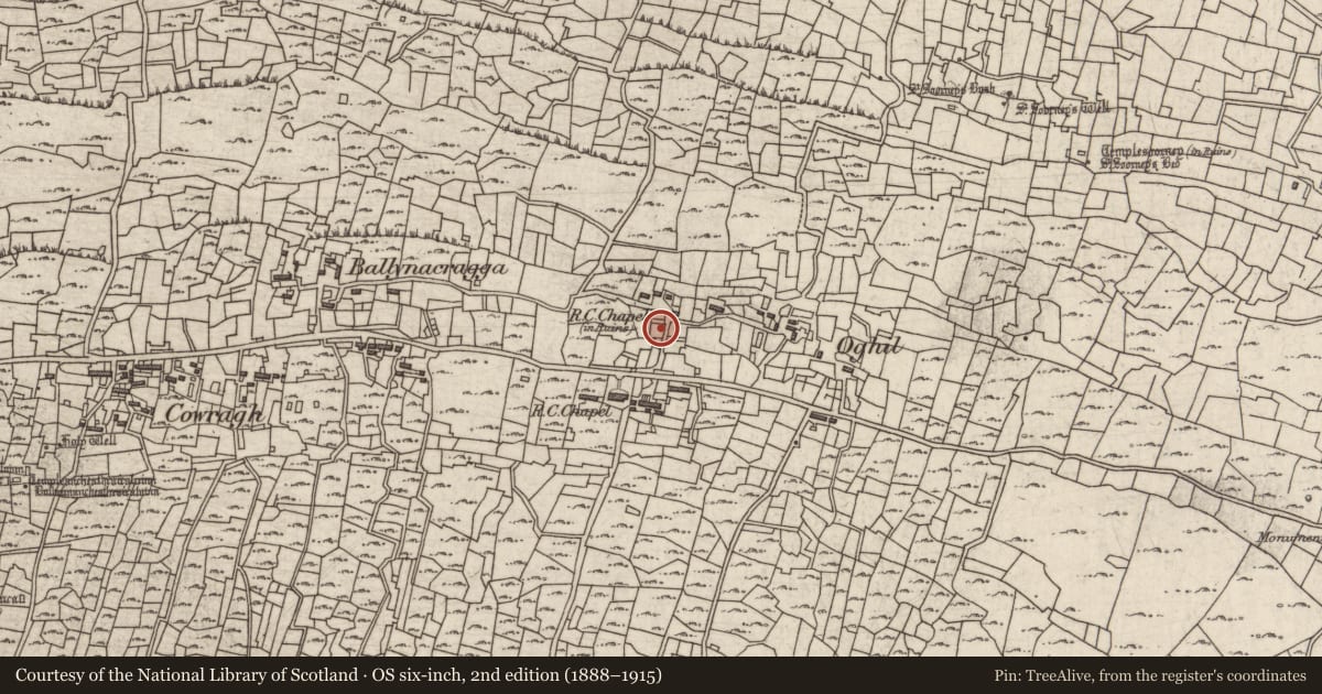 Ordnance Survey six-inch map, 2nd edition (1888–1915) covering the location of Church, Eochaill (Bar. Árainn), County Galway, with a pin at the register's coordinates