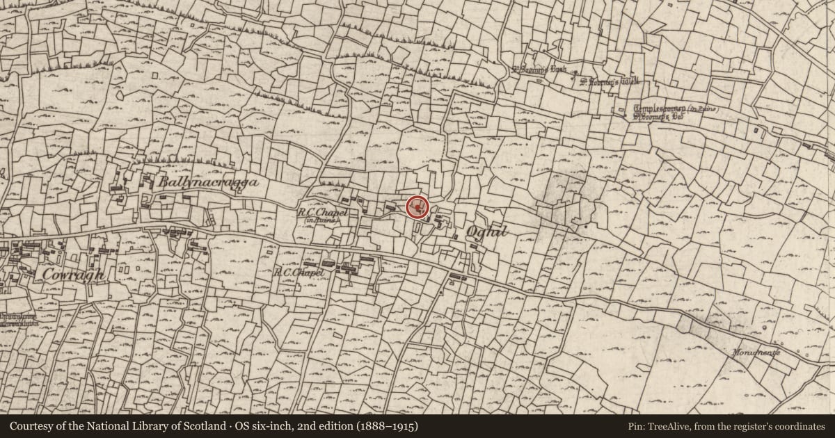 Ordnance Survey six-inch map, 2nd edition (1888–1915) covering the location of Ringfort - unclassified, Eochaill (Bar. Árainn), County Galway, with a pin at the register's coordinates