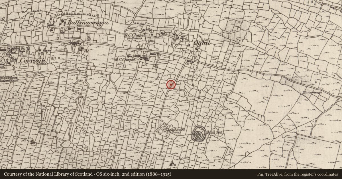 Ordnance Survey six-inch map, 2nd edition (1888–1915) covering the location of Mound, Eochaill (Bar. Árainn), County Galway, with a pin at the register's coordinates