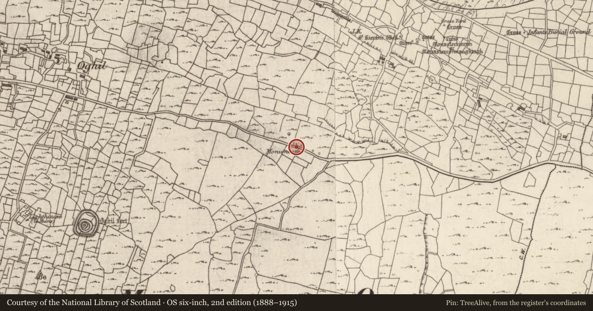 Ordnance Survey six-inch map, 2nd edition (1888–1915) covering the location of Leacht cuimhne, Eochaill (Bar. Árainn), County Galway, with a pin at the register's coordinates