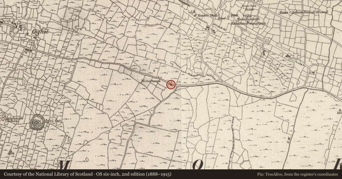 Ordnance Survey six-inch map, 2nd edition (1888–1915) covering the location of Leacht cuimhne, Eochaill (Bar. Árainn), County Galway, with a pin at the register's coordinates