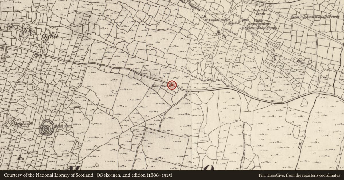 Ordnance Survey six-inch map, 2nd edition (1888–1915) covering the location of Leacht cuimhne, Eochaill (Bar. Árainn), County Galway, with a pin at the register's coordinates