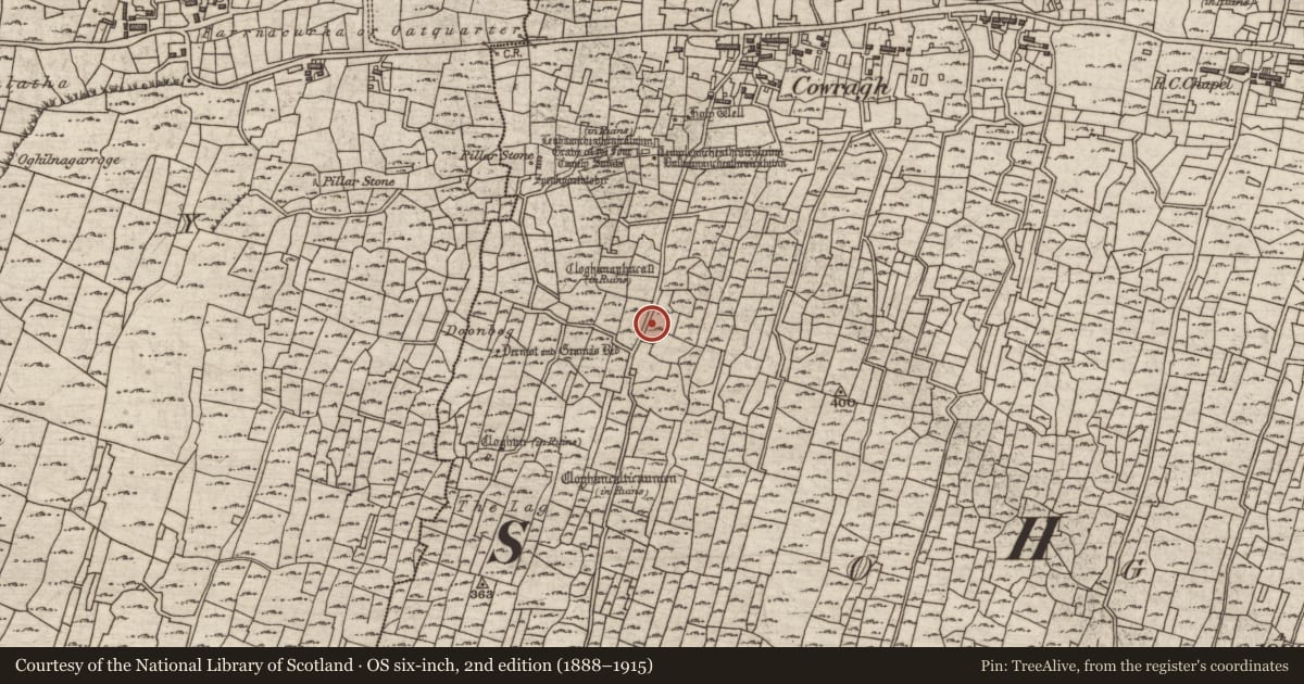 Ordnance Survey six-inch map, 2nd edition (1888–1915) covering the location of Hut site, Eochaill (Bar. Árainn), County Galway, with a pin at the register's coordinates