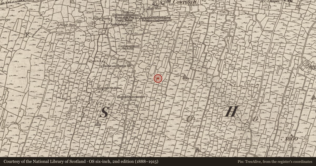 Ordnance Survey six-inch map, 2nd edition (1888–1915) covering the location of Mound, Eochaill (Bar. Árainn), County Galway, with a pin at the register's coordinates