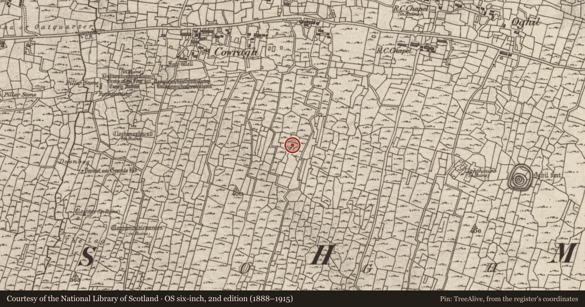 Ordnance Survey six-inch map, 2nd edition (1888–1915) covering the location of Hut site, Eochaill (Bar. Árainn), County Galway, with a pin at the register's coordinates