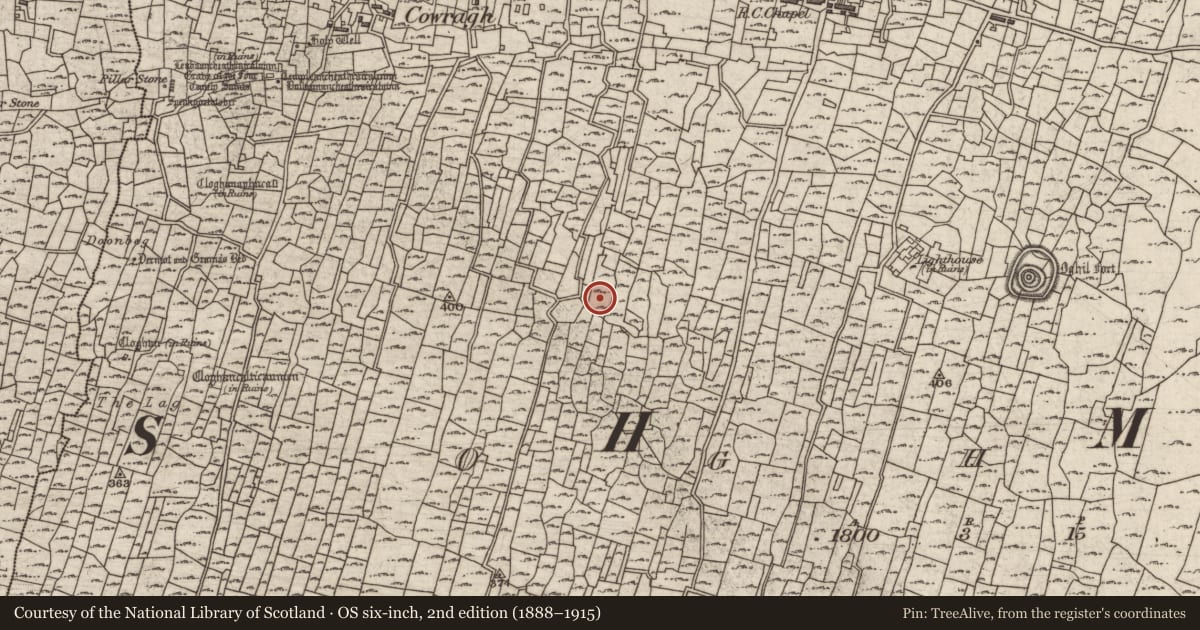 Ordnance Survey six-inch map, 2nd edition (1888–1915) covering the location of Anomalous stone group, Eochaill (Bar. Árainn), County Galway, with a pin at the register's coordinates