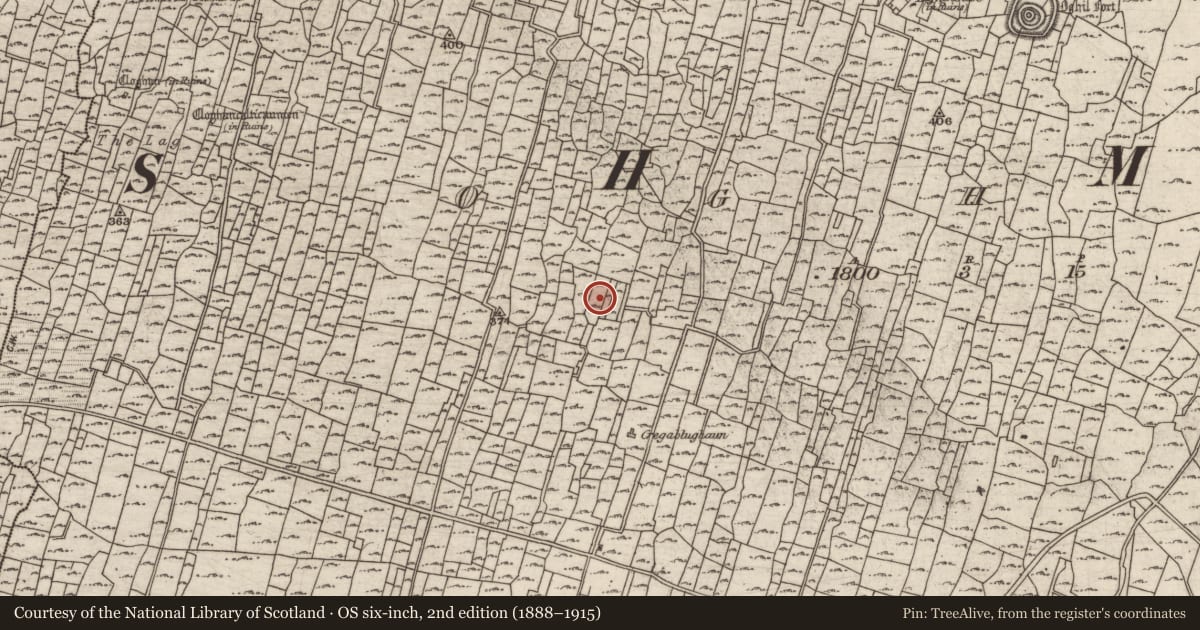 Ordnance Survey six-inch map, 2nd edition (1888–1915) covering the location of Clochan, Eochaill (Bar. Árainn), County Galway, with a pin at the register's coordinates