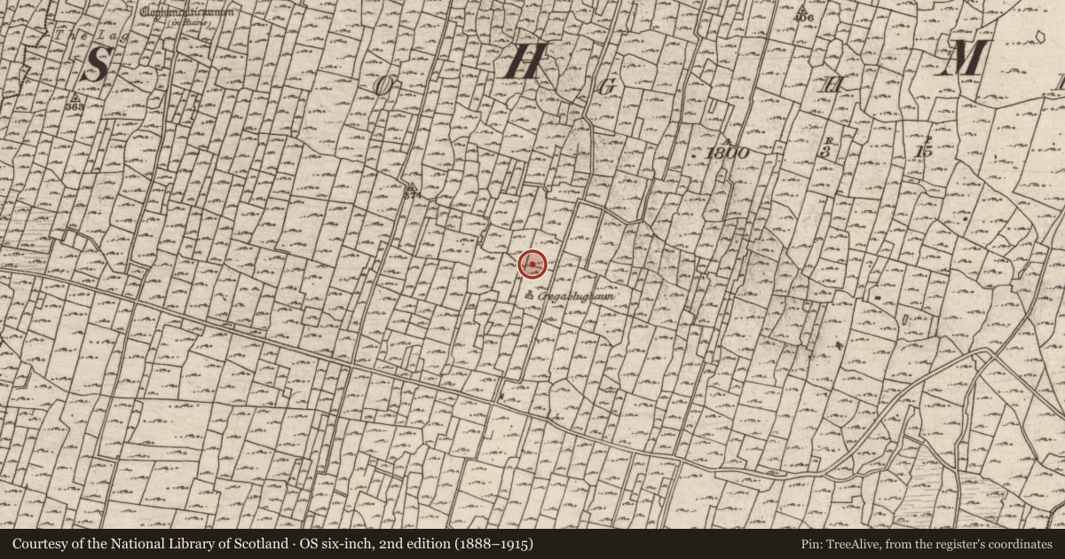 Ordnance Survey six-inch map, 2nd edition (1888–1915) covering the location of Anomalous stone group, Eochaill (Bar. Árainn), County Galway, with a pin at the register's coordinates