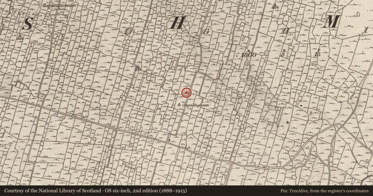 Ordnance Survey six-inch map, 2nd edition (1888–1915) covering the location of Clochan, Eochaill (Bar. Árainn), County Galway, with a pin at the register's coordinates