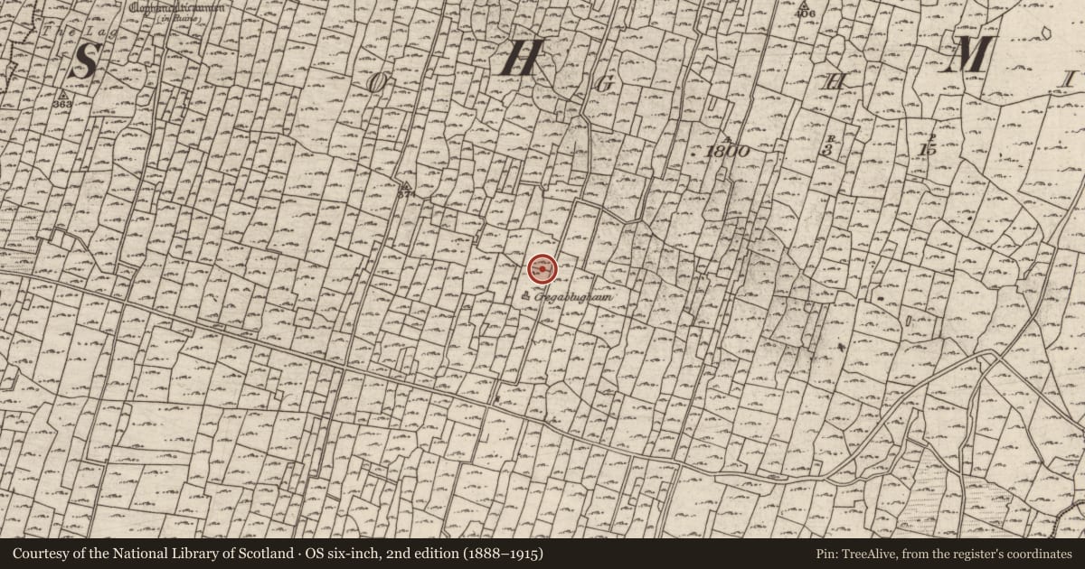 Ordnance Survey six-inch map, 2nd edition (1888–1915) covering the location of Mound, Eochaill (Bar. Árainn), County Galway, with a pin at the register's coordinates