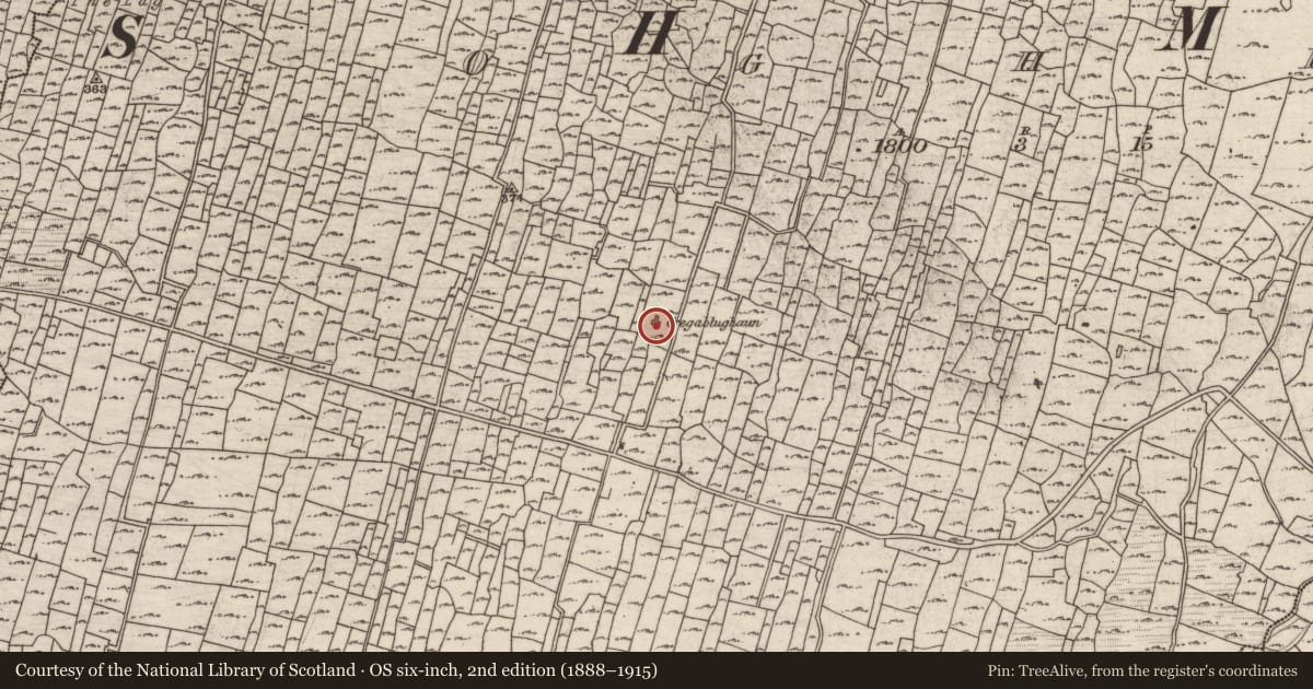 Ordnance Survey six-inch map, 2nd edition (1888–1915) covering the location of Clochan, Eochaill (Bar. Árainn), County Galway, with a pin at the register's coordinates