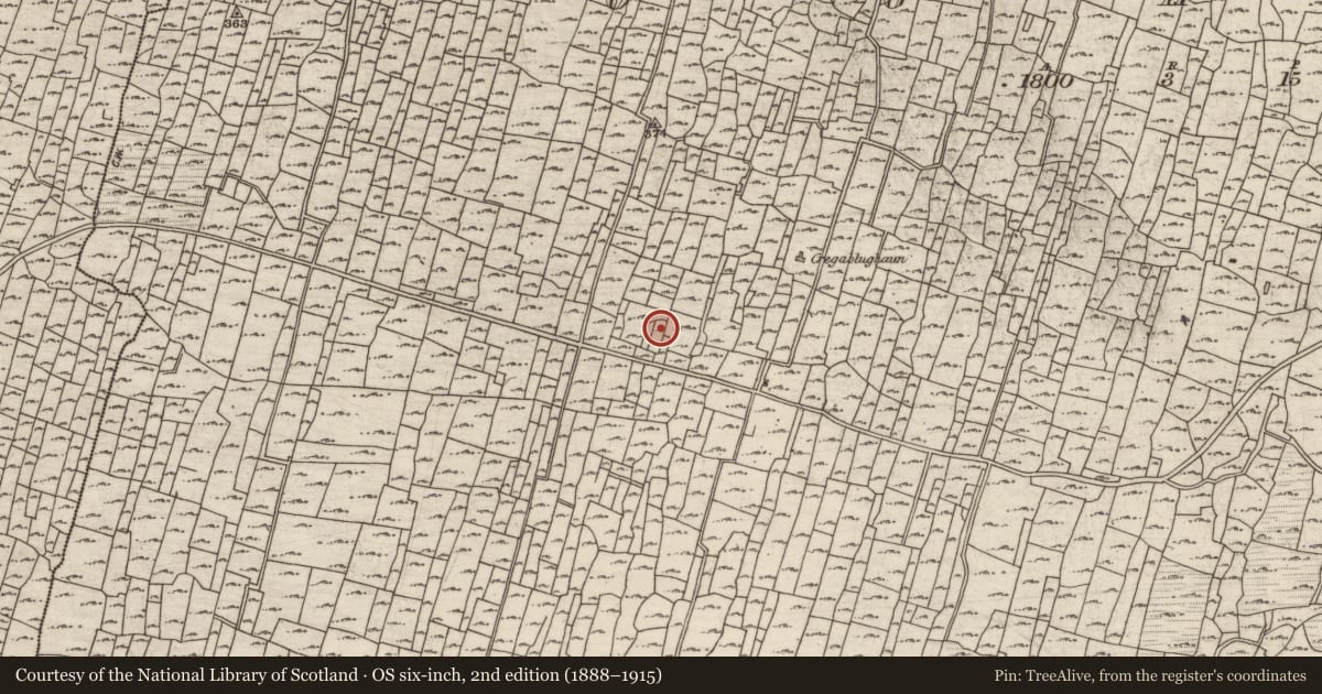 Ordnance Survey six-inch map, 2nd edition (1888–1915) covering the location of Building, Eochaill (Bar. Árainn), County Galway, with a pin at the register's coordinates