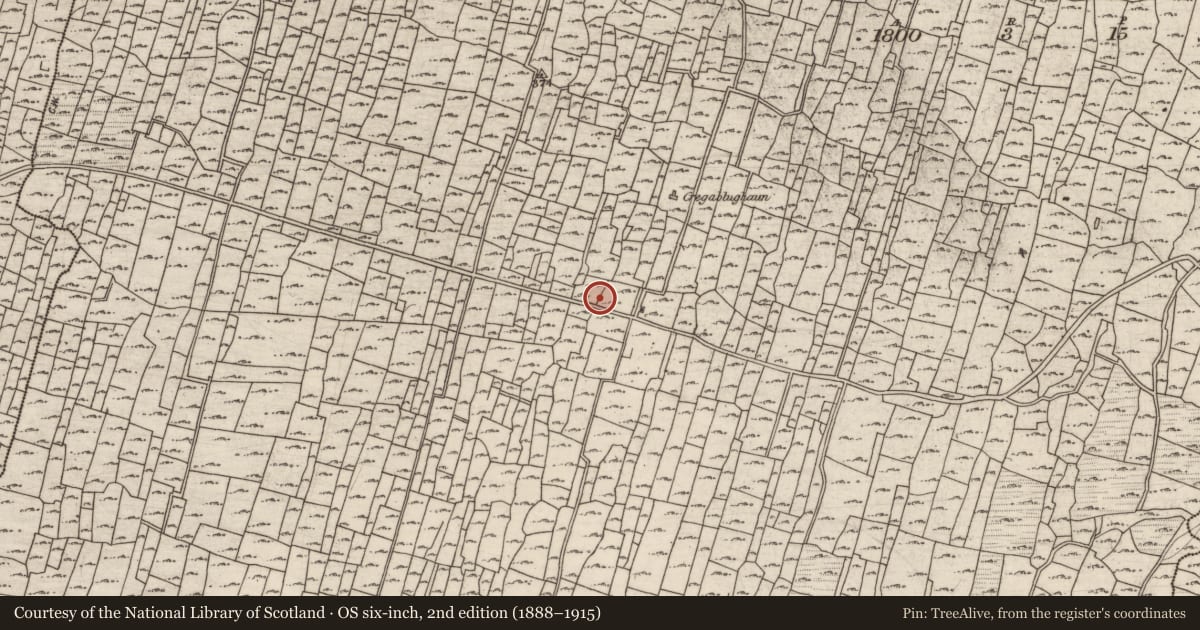 Ordnance Survey six-inch map, 2nd edition (1888–1915) covering the location of Clochan, Eochaill (Bar. Árainn), County Galway, with a pin at the register's coordinates