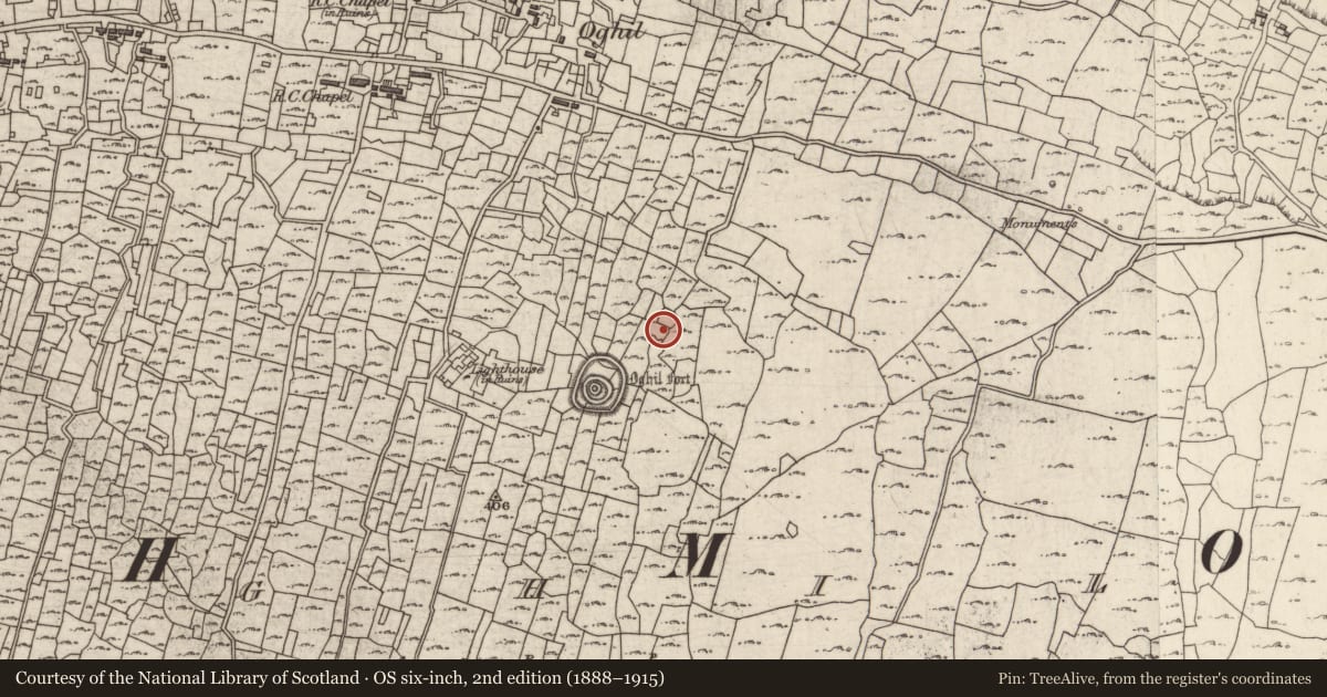 Ordnance Survey six-inch map, 2nd edition (1888–1915) covering the location of Clochan, Eochaill (Bar. Árainn), County Galway, with a pin at the register's coordinates