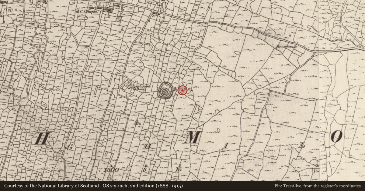 Ordnance Survey six-inch map, 2nd edition (1888–1915) covering the location of Clochan, Eochaill (Bar. Árainn), County Galway, with a pin at the register's coordinates
