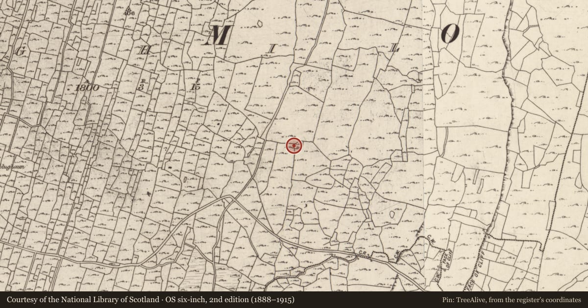 Ordnance Survey six-inch map, 2nd edition (1888–1915) covering the location of Megalithic structure, Eochaill (Bar. Árainn), County Galway, with a pin at the register's coordinates