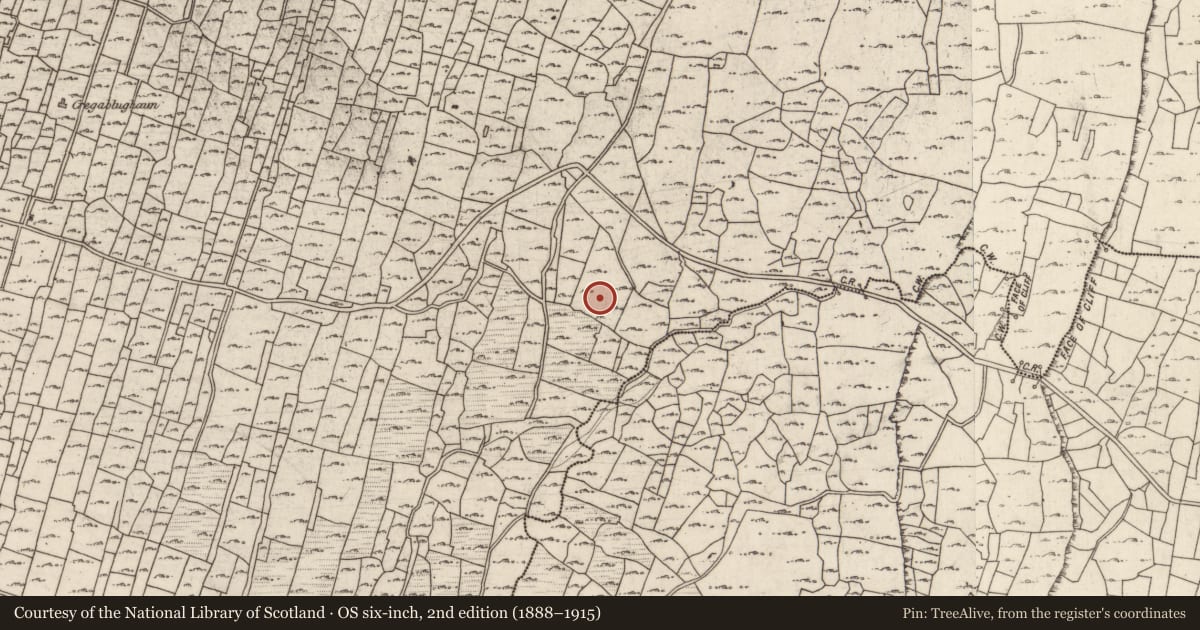 Ordnance Survey six-inch map, 2nd edition (1888–1915) covering the location of Clochan, Eochaill (Bar. Árainn), County Galway, with a pin at the register's coordinates