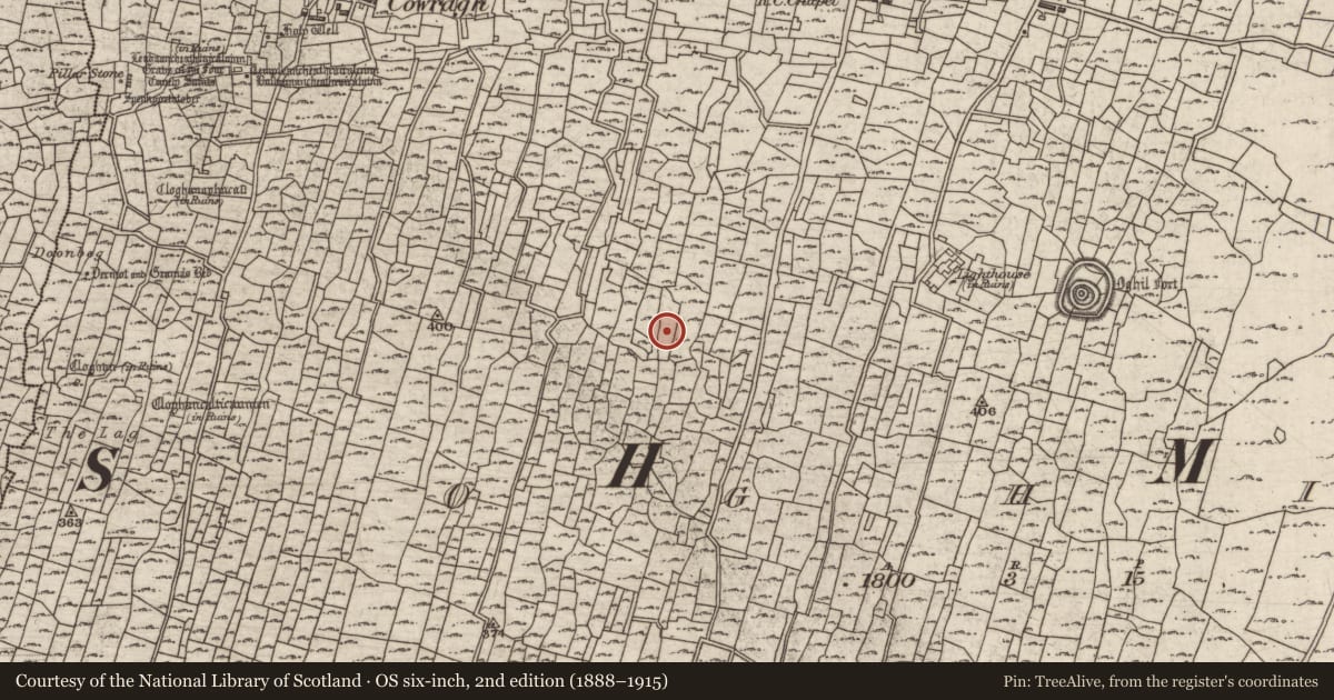 Ordnance Survey six-inch map, 2nd edition (1888–1915) covering the location of Cairn - clearance cairn, Eochaill (Bar. Árainn), County Galway, with a pin at the register's coordinates