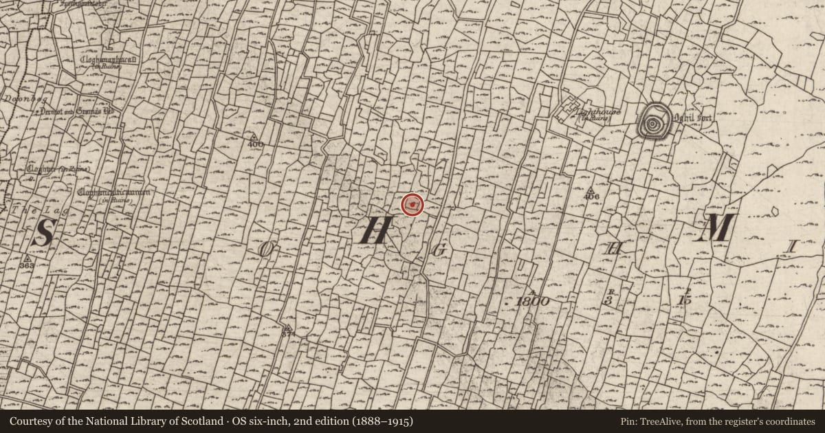 Ordnance Survey six-inch map, 2nd edition (1888–1915) covering the location of Cairn - clearance cairn, Eochaill (Bar. Árainn), County Galway, with a pin at the register's coordinates