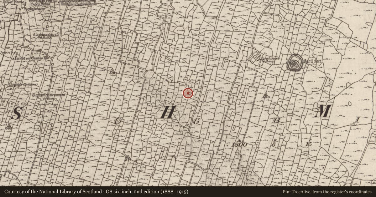 Ordnance Survey six-inch map, 2nd edition (1888–1915) covering the location of Structure, Eochaill (Bar. Árainn), County Galway, with a pin at the register's coordinates