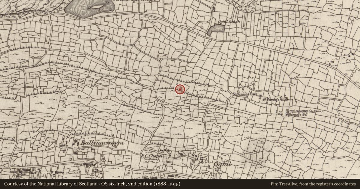Ordnance Survey six-inch map, 2nd edition (1888–1915) covering the location of Mound, Eochaill (Bar. Árainn), County Galway, with a pin at the register's coordinates
