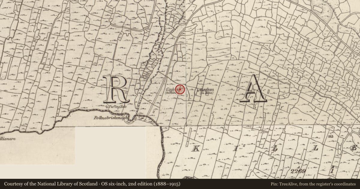 Ordnance Survey six-inch map, 2nd edition (1888–1915) covering the location of Clochan, Cill Éinne, County Galway, with a pin at the register's coordinates