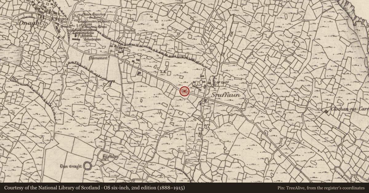 Ordnance Survey six-inch map, 2nd edition (1888–1915) covering the location of Cairn - wayside cairn, Eoghanacht, County Galway, with a pin at the register's coordinates