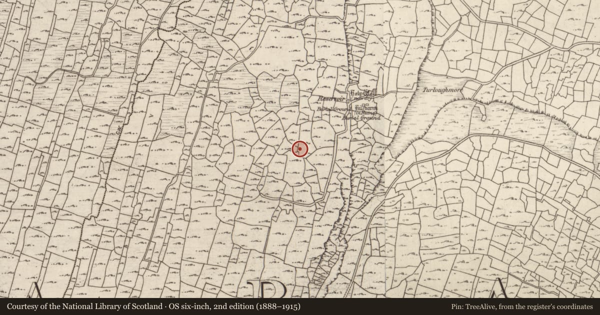 Ordnance Survey six-inch map, 2nd edition (1888–1915) covering the location of Midden, Cill Éinne, County Galway, with a pin at the register's coordinates