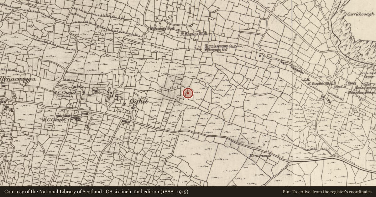 Ordnance Survey six-inch map, 2nd edition (1888–1915) covering the location of Building, Eochaill (Bar. Árainn), County Galway, with a pin at the register's coordinates