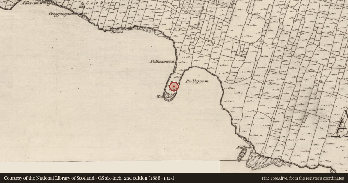 Ordnance Survey six-inch map, 2nd edition (1888–1915) covering the location of Promontory fort - coastal, Eochaill (Bar. Árainn), County Galway, with a pin at the register's coordinates