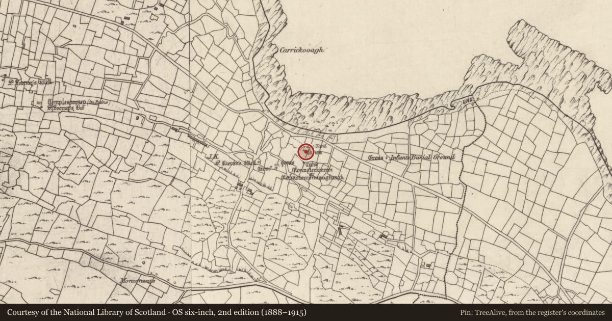 Ordnance Survey six-inch map, 2nd edition (1888–1915) covering the location of Cross-inscribed pillar, Eochaill (Bar. Árainn), County Galway, with a pin at the register's coordinates