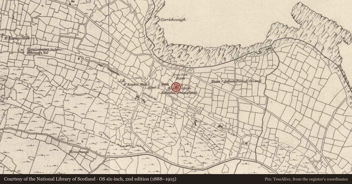 Ordnance Survey six-inch map, 2nd edition (1888–1915) covering the location of Cross-inscribed pillar, Eochaill (Bar. Árainn), County Galway, with a pin at the register's coordinates