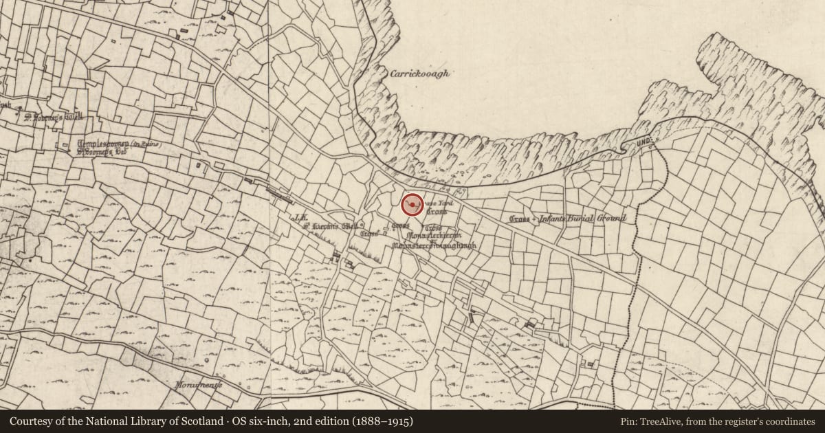 Ordnance Survey six-inch map, 2nd edition (1888–1915) covering the location of Cross-slab, Eochaill (Bar. Árainn), County Galway, with a pin at the register's coordinates