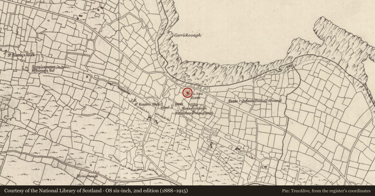 Ordnance Survey six-inch map, 2nd edition (1888–1915) covering the location of Clochan, Eochaill (Bar. Árainn), County Galway, with a pin at the register's coordinates